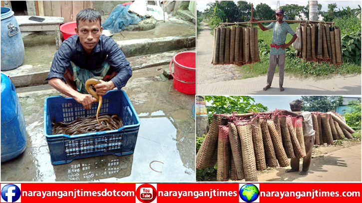 রূপগঞ্জে কুঁচিয়া শিকার করে স্বাবলম্বী শতাধিক পরিবার