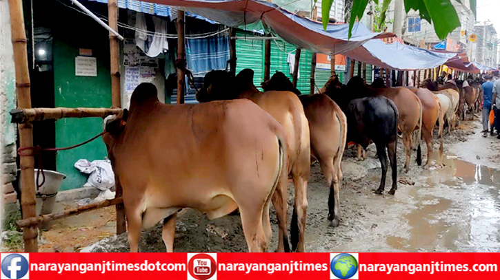 বাসাবাড়ি ব্যবসা প্রতিষ্ঠানের গেইটে আওয়ামী লীগ নেতার পশুর হাট