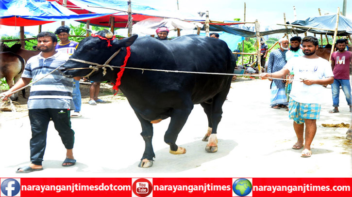 জমে উঠেছে জালকুড়ির দশপাইপ সংলগ্ন পশুর হাট