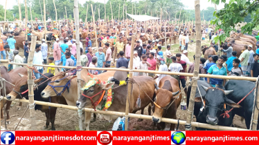 ছুটির প্রথম দিনেই জমজমাট হয়ে উঠেছে নারায়ণগঞ্জের পশুরহাট