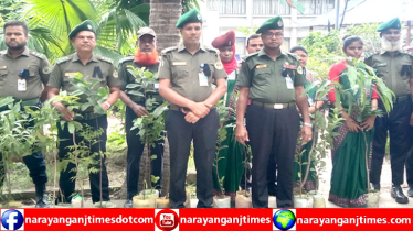 সদর উপজেলায় আনসার ও ভিডিপি’র বৃক্ষরোপণ কর্মসূচি পালন