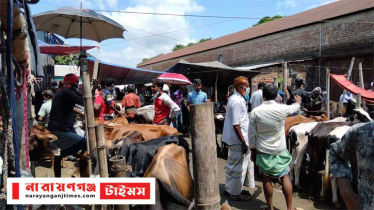 আড়াইহাজারে উচ্ছেদের পরও চলছে অবৈধ হাট, করোনা সংক্রামণের শঙ্কা