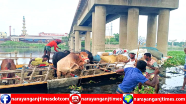 নারায়ণগঞ্জের হাট গুলোতে আসছে কোরবানীর পশু