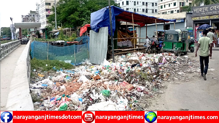 নাসিক ২২ নং ওয়ার্ডে ময়লার ভাগাড়ে পরিবেশ দূষণ