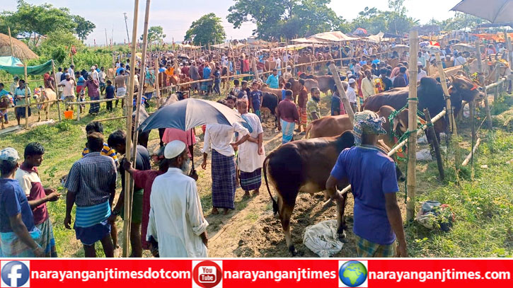 নারায়ণগঞ্জের হাট গুলোতে আসছে কোরবানির পশু, দর্শনার্থীদের ভীড়