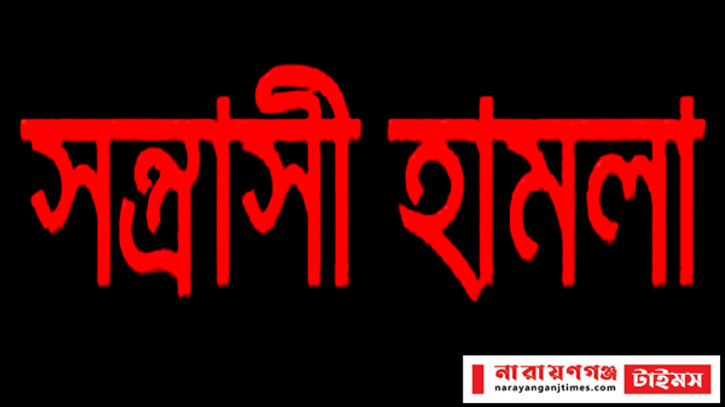 বন্দরে সন্ত্রাসী হামলায় গৃহবধূ আহত, নগদ টাকা ও স্বর্ণালংকার লুট  