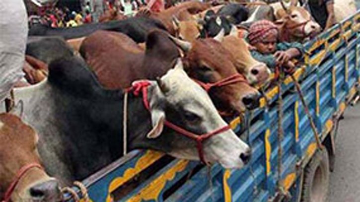 কোরবানির পশুবাহী গাড়িতে চাঁদাবাজি,  নারায়ণগঞ্জে ৫ পুলিশ সদস্য বরখাস্ত